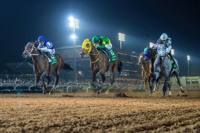 The $20 million G1 Saudi&nbsp;Cup!